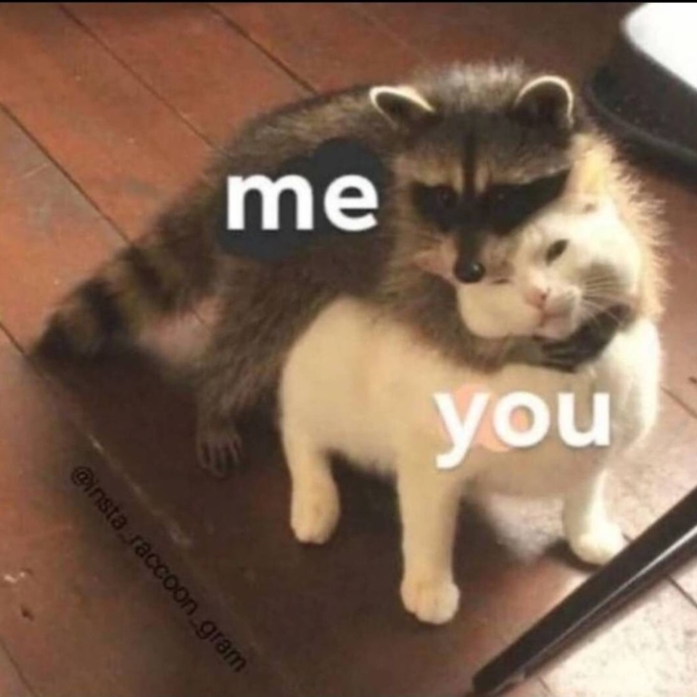 Meet your Posher, Felicia